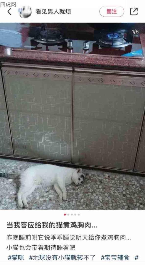 妈妈，你要什么时候煮啊？