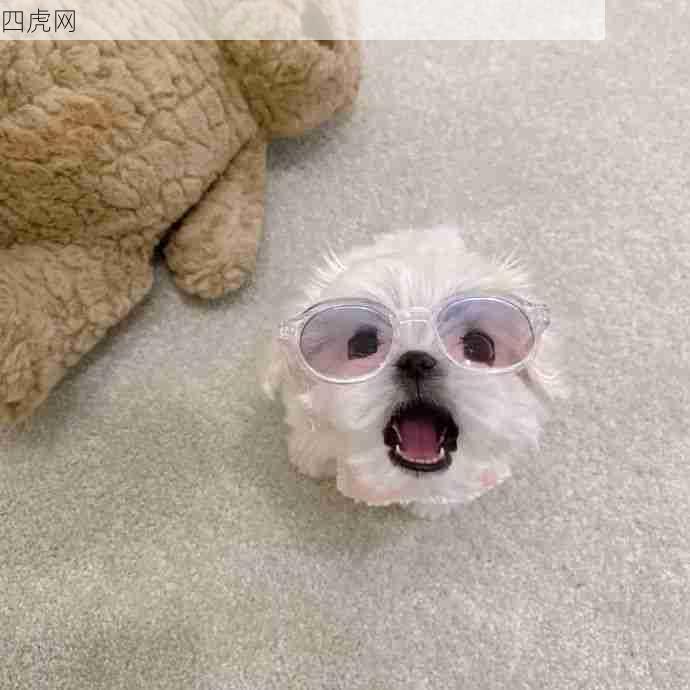 这么可爱的小狗我亲死