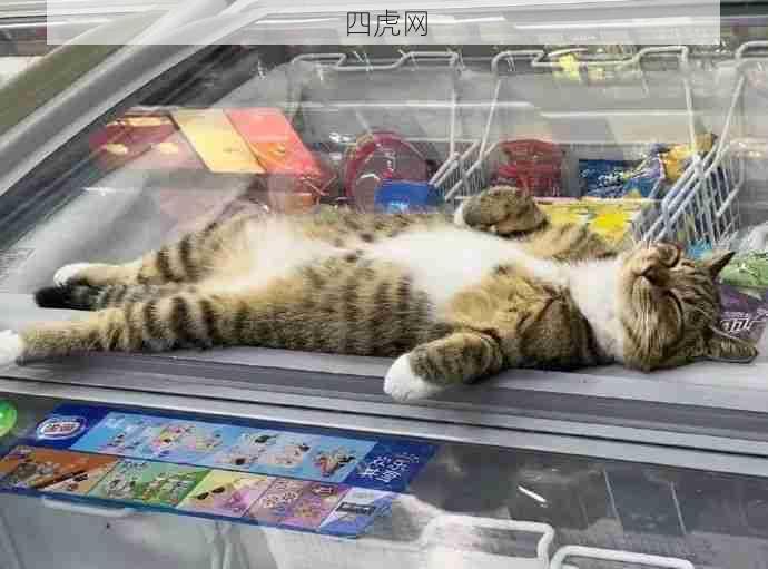 这天气热得冰箱都长猫了！