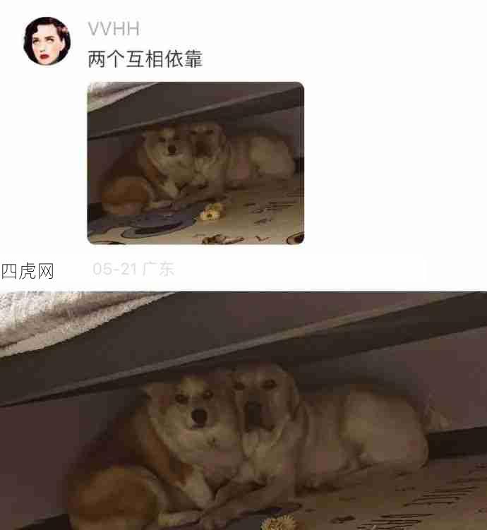 每一个眼神是那么的熟悉！哈哈哈逆子还敢！