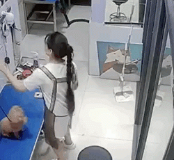 不和人打交道的工作好快乐​​​