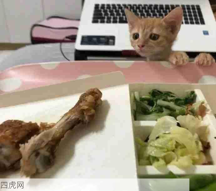 吃啥呢，给我掰点儿！