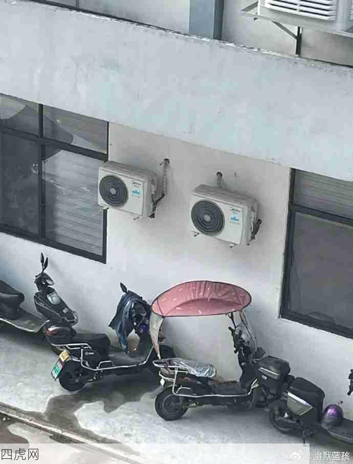 生活中隐藏的外星人