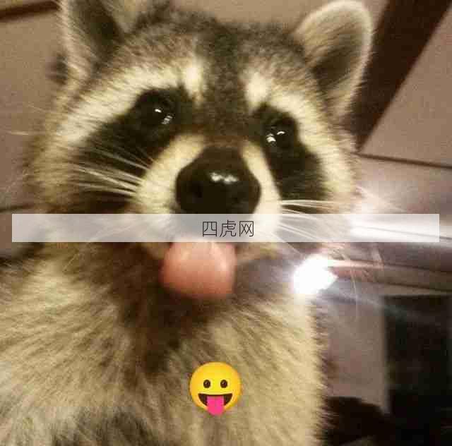 以防有人需要小浣熊能量