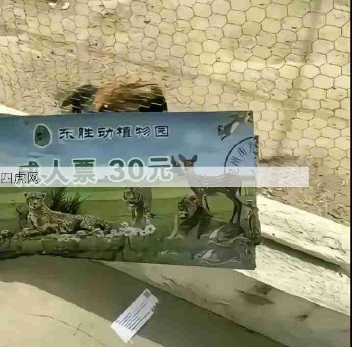 《朋克动物园》这就是抽象艺术