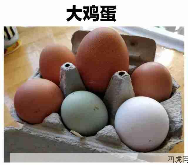 星露谷物语！灰尘精灵没毛病