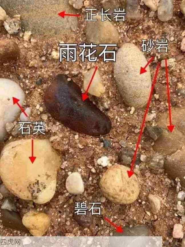 学习了！我以为都叫鹅卵石