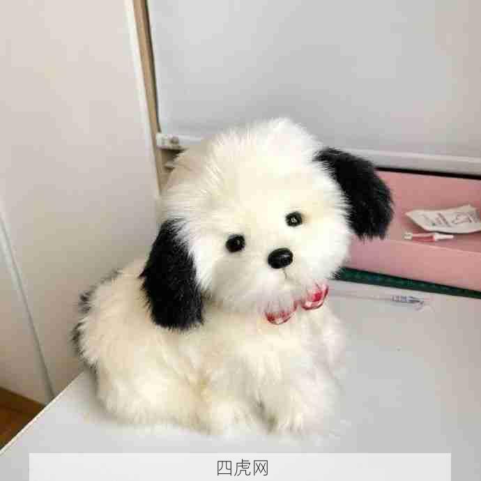 这么可爱的小狗怎么不是我养的