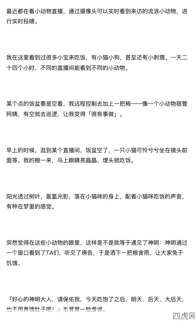 看小动物吃东西真的很治愈