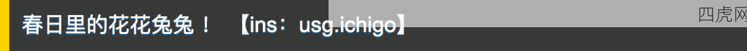 好漂亮的花兔兔！