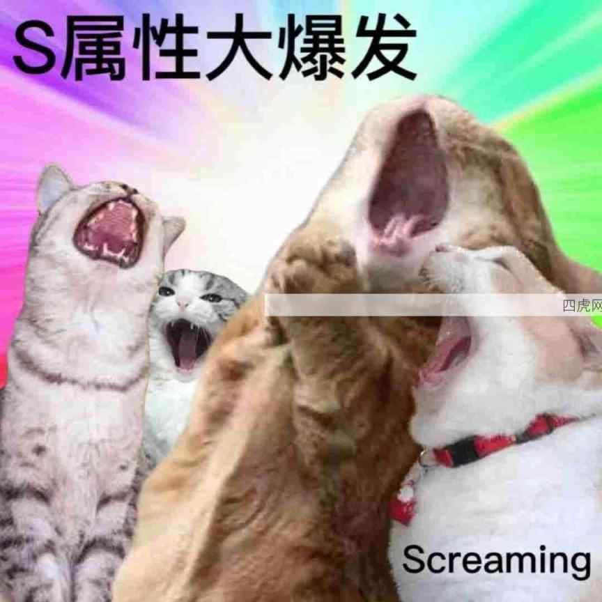 人生就是一场盛大的SM啊（胡言乱语