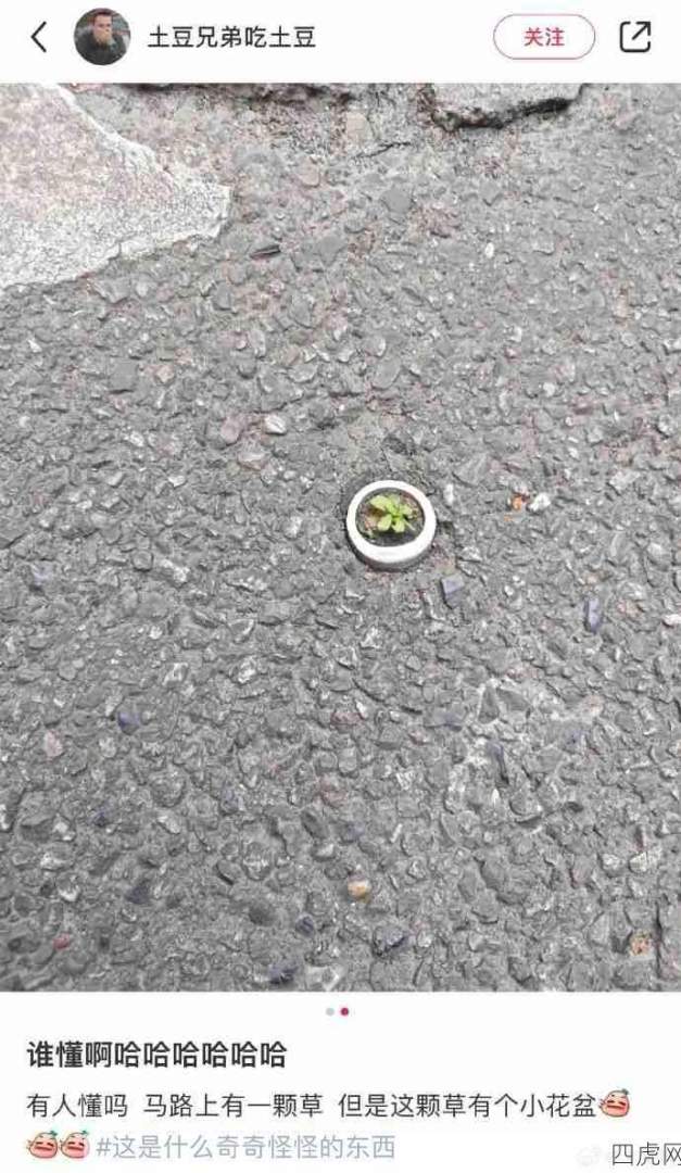 当你用奇怪的视角看世界！有被可爱到