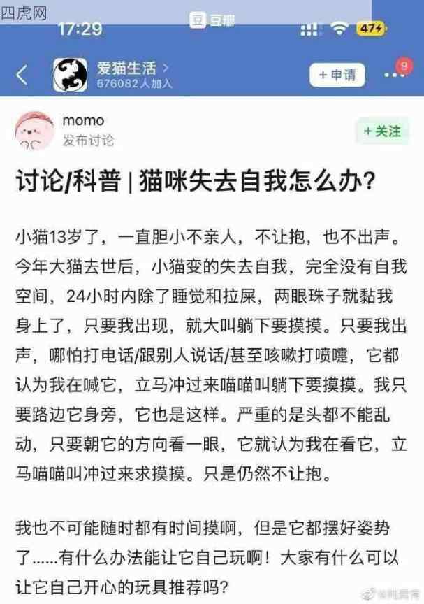 喵喵喵终于是老子的天下了！