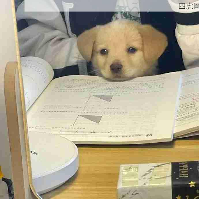 小狗来替我学习！