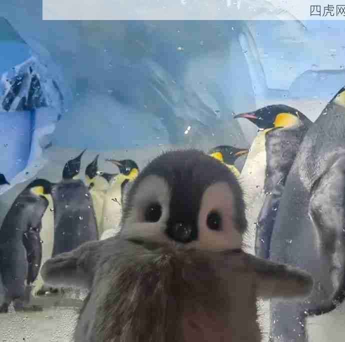 是企鹅宝宝！我被萌死了