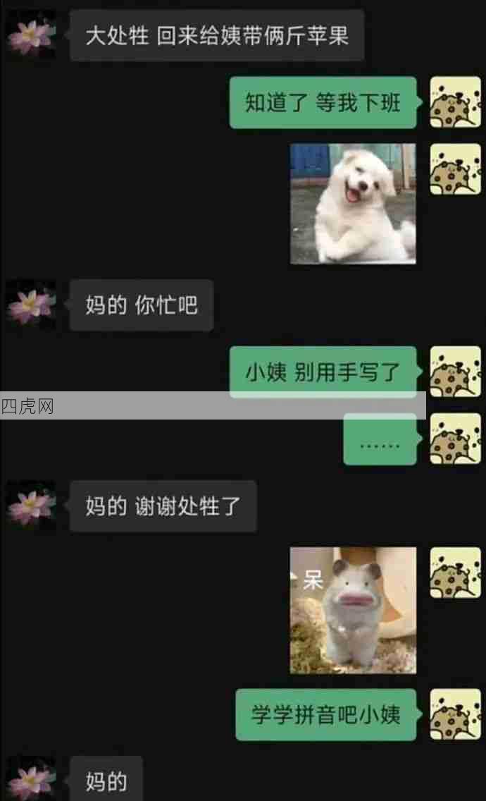 进来看老梗哈哈哈都是人才