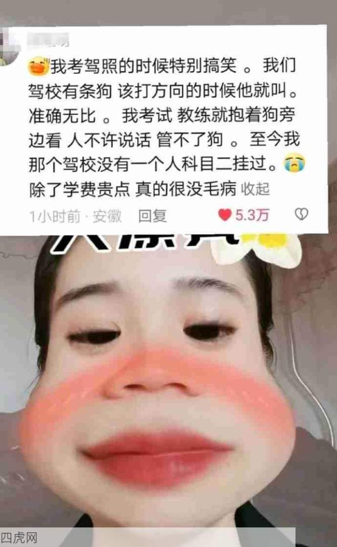 每个驾校都有自己的绝招