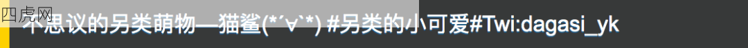 猫鲨！哈哈一旦接受这种设定