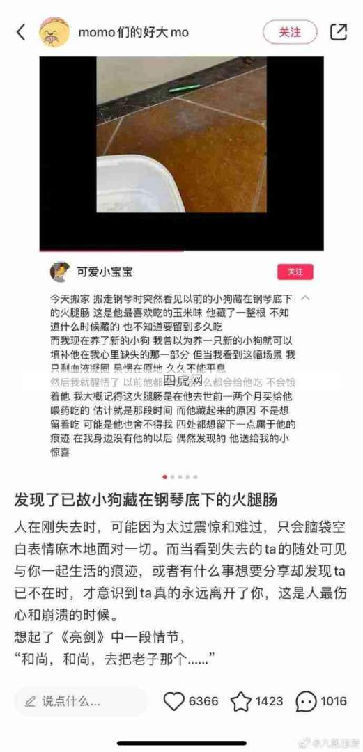 已故小狗藏在钢琴底下的火腿肠！杀我别用狗狗刀