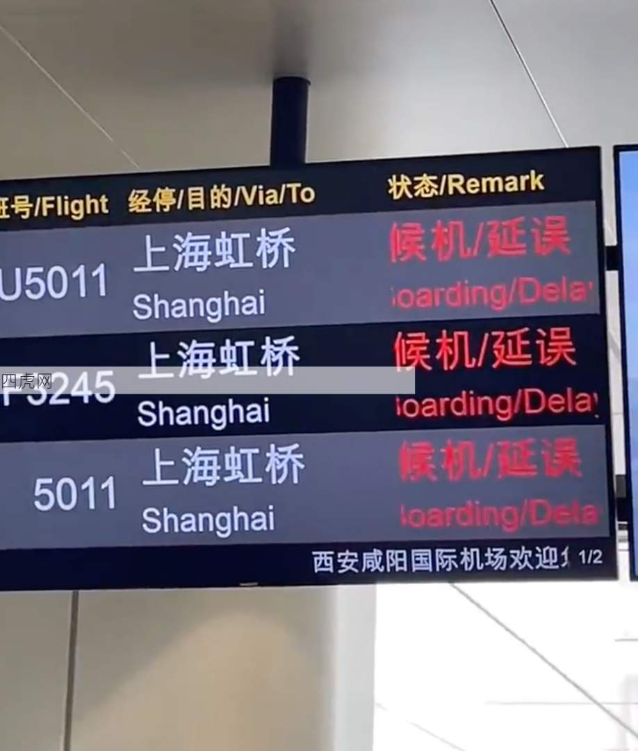 两个情绪稳定的成年人哈哈哈