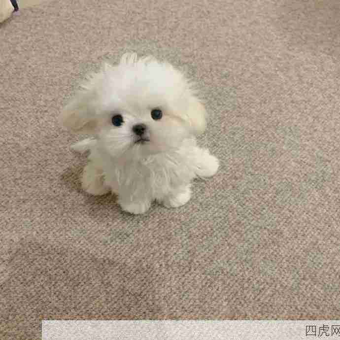 宝宝你是小章鱼嘛！真的是又漂亮又可爱又乖