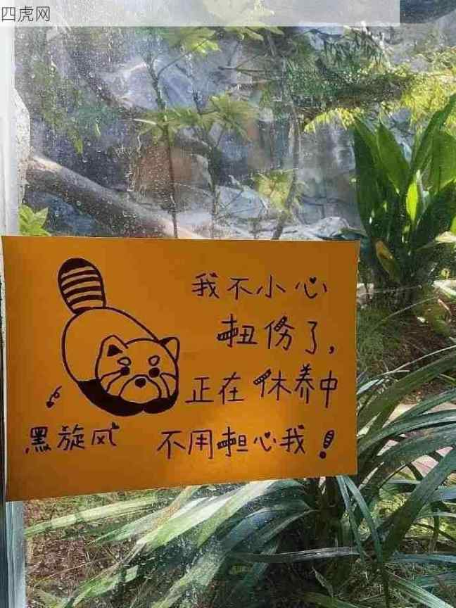 在动物园上班会很开心吧！太用心了吧！