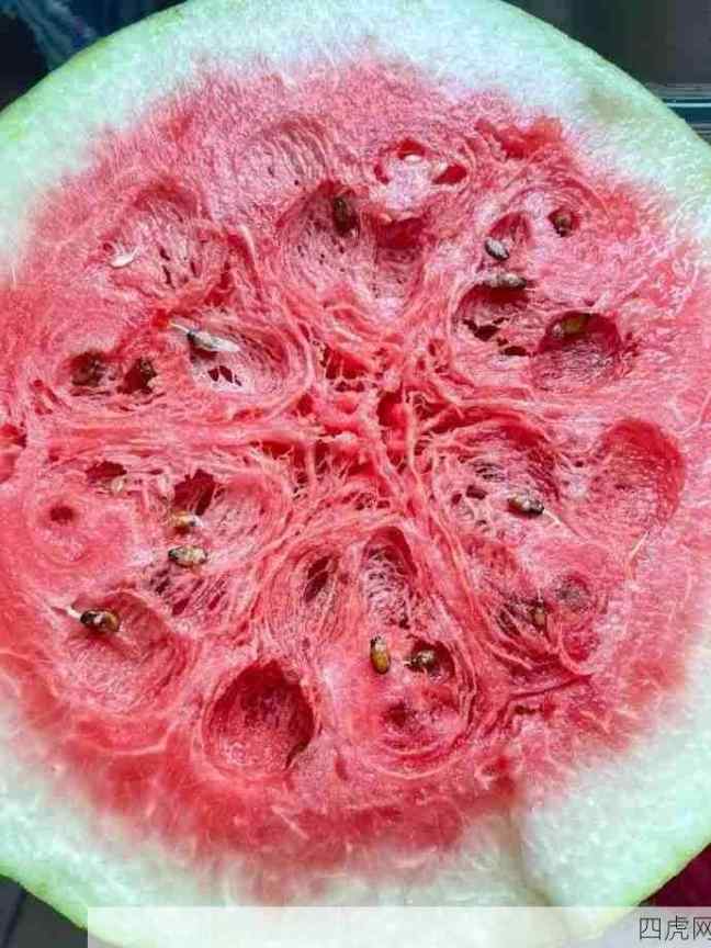 瓜届耻辱！猪看了都摇头