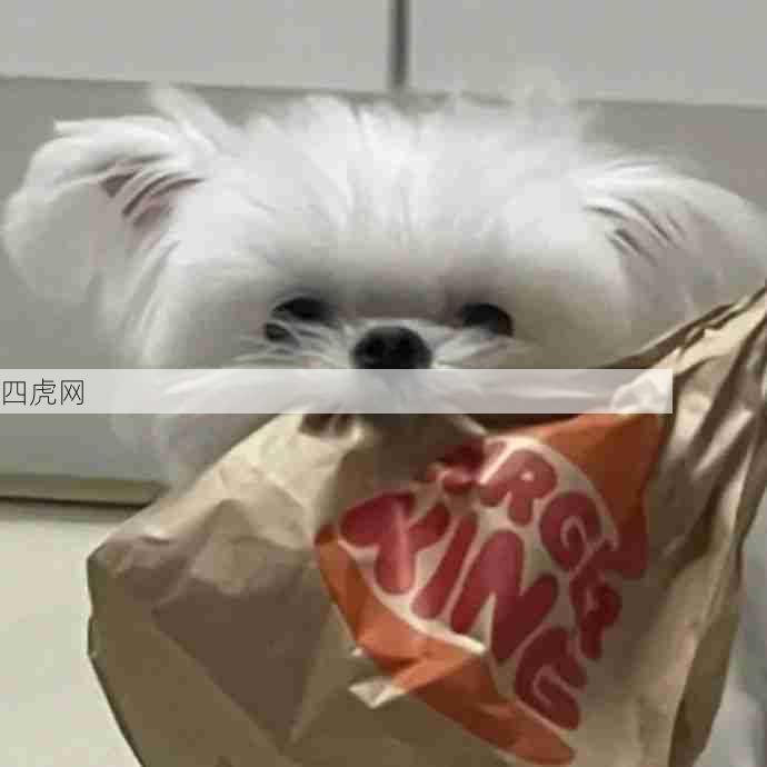 潦草小狗！可爱宝宝！