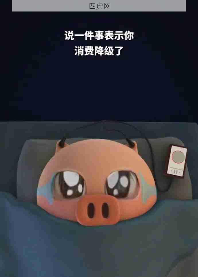 说一件事表示你消费降级了